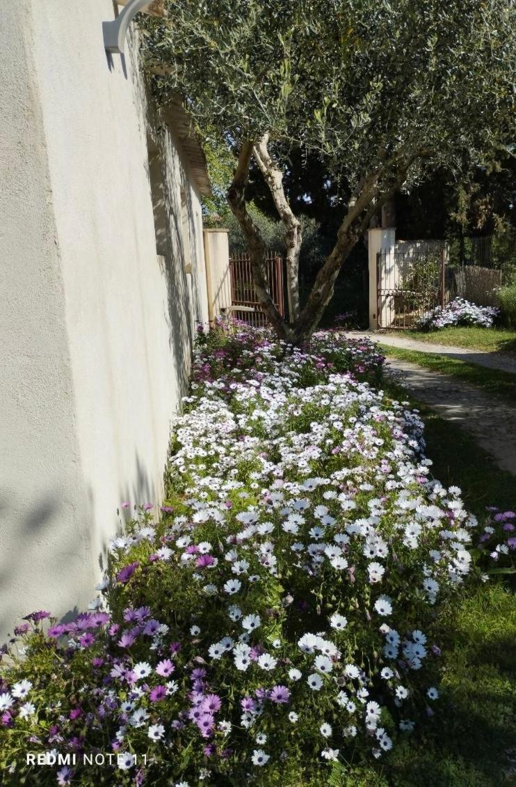 Maison De Campagne En Provence バルバンターヌ エクステリア 写真